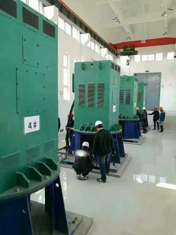 韩城某污水处理厂使用我厂的立式高压电机安装现场现货销售